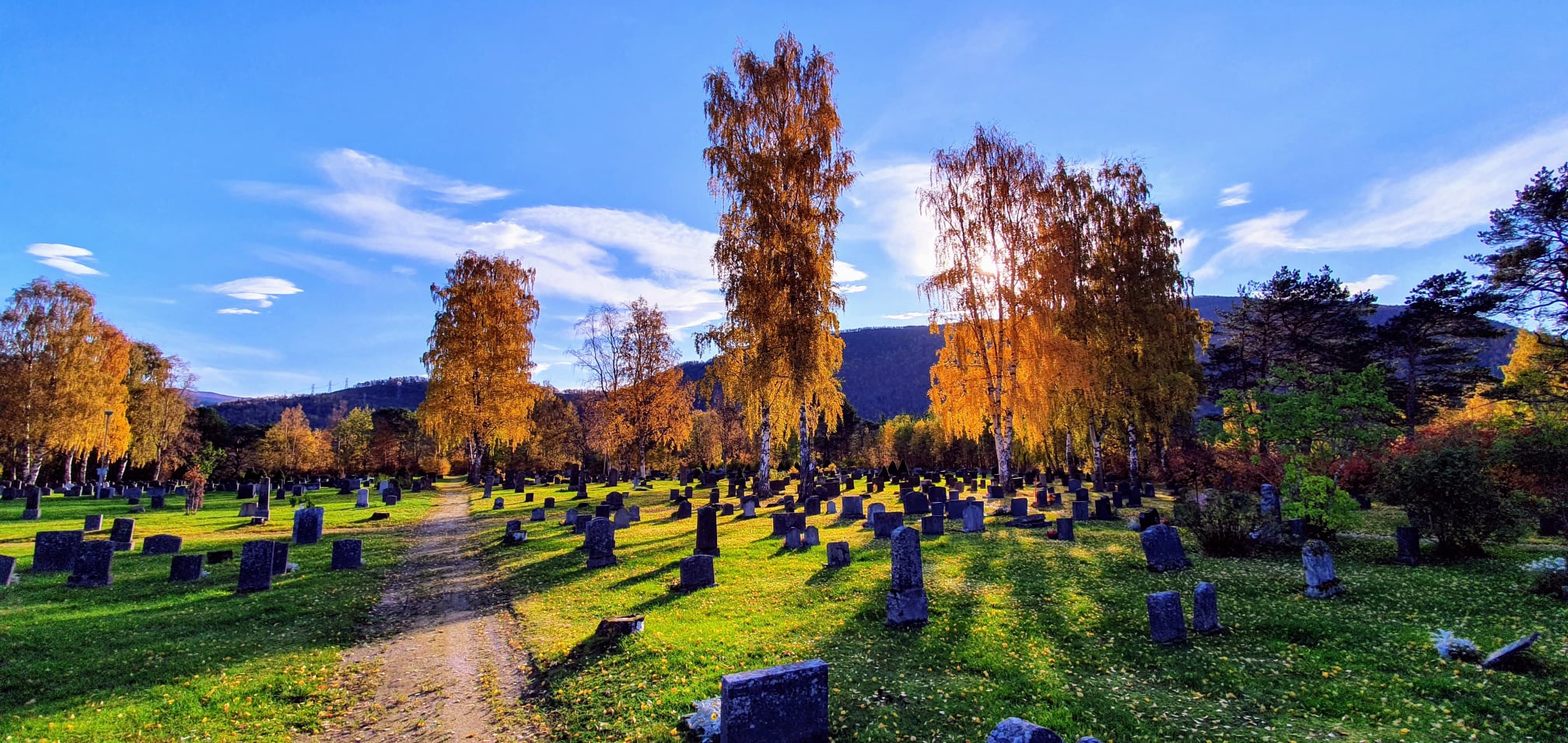 Bilde av Saltdal kirkegård